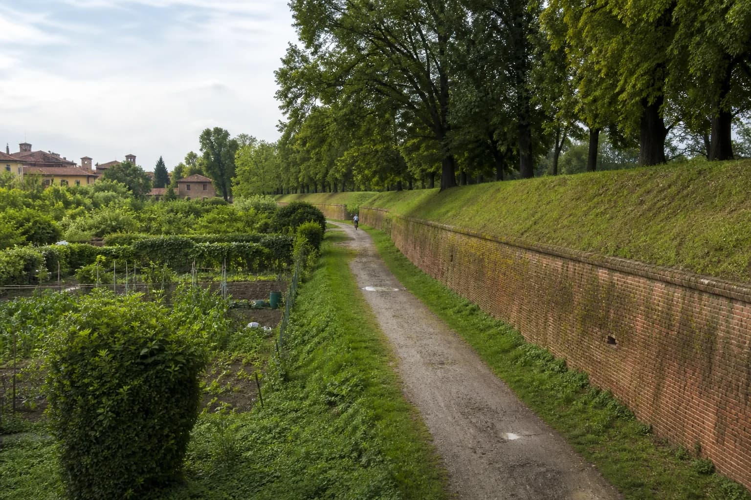 Cultivated garden plots beside a tree-lined path and low red-brick walls in northern Ferrara