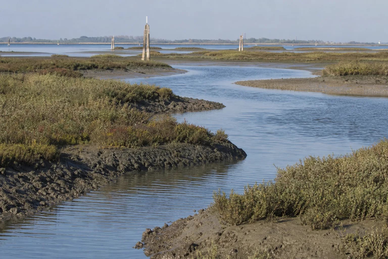 Tidal channels winding through low salt-marsh vegetation in the Venetian lagoon